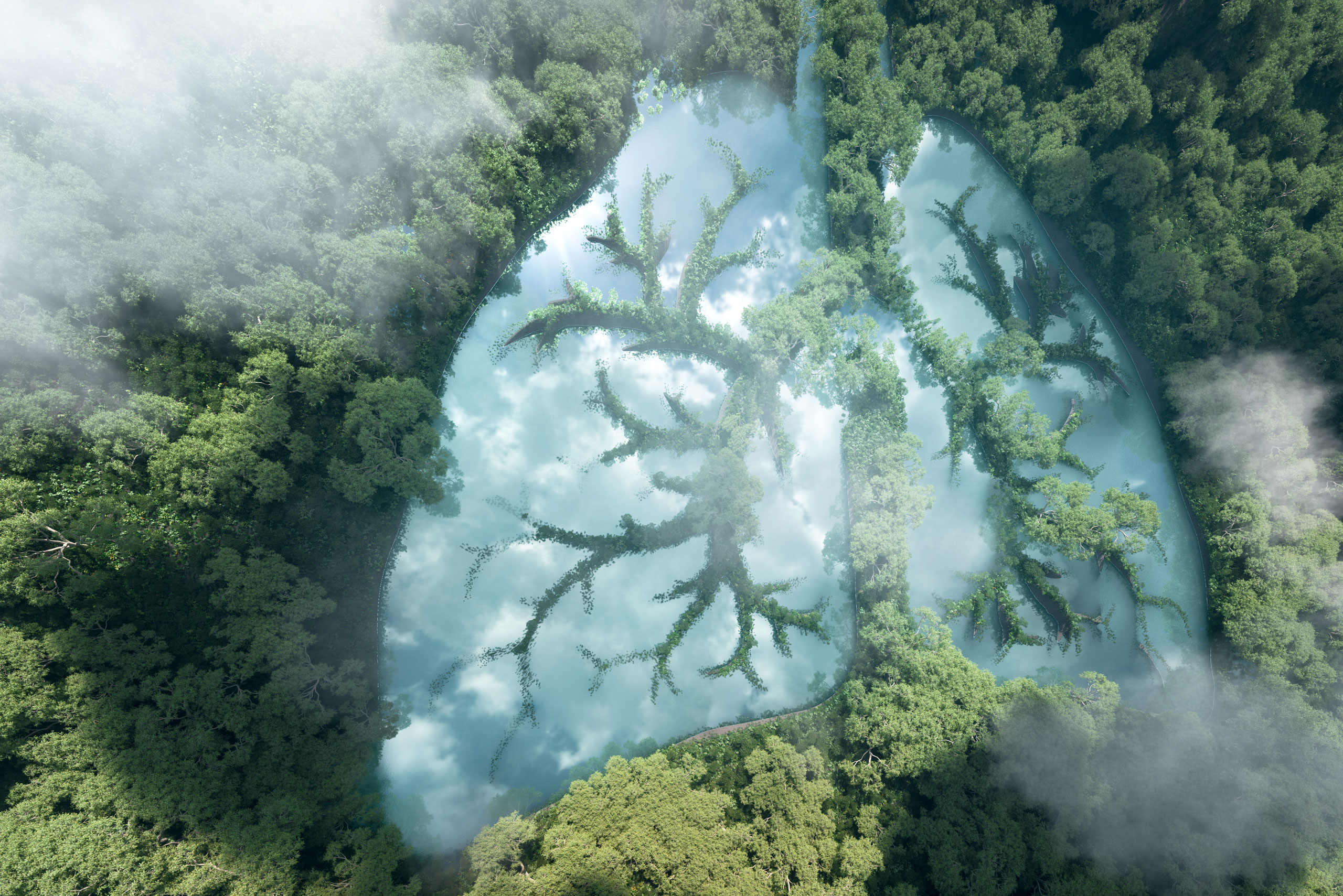 Дишане в хармония с природата – научни факти и нови открития